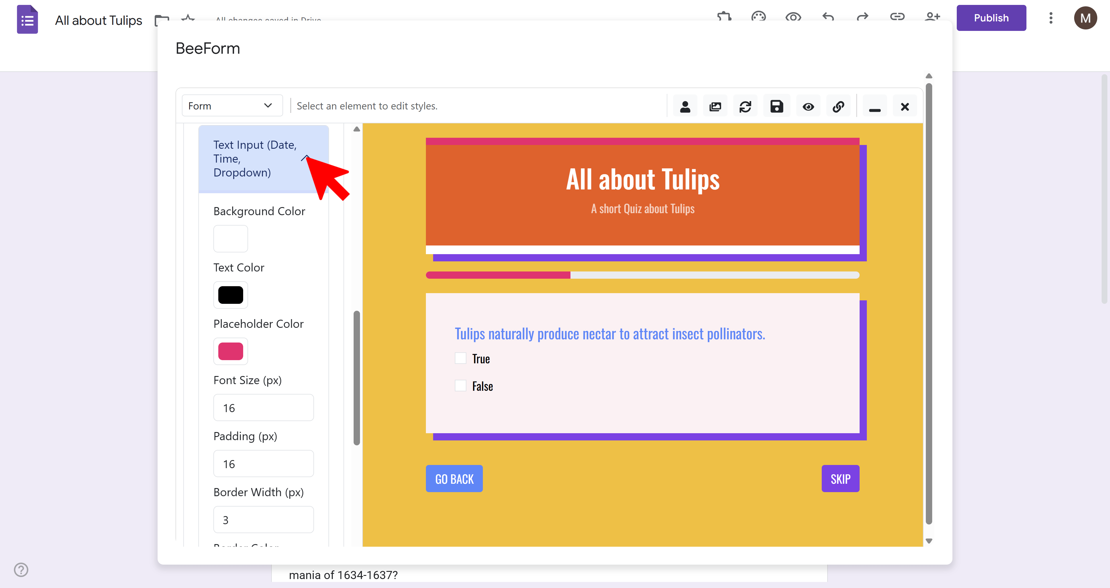 Text input customization options